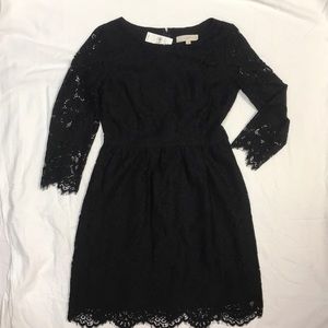 LOFT lace cocktail dress